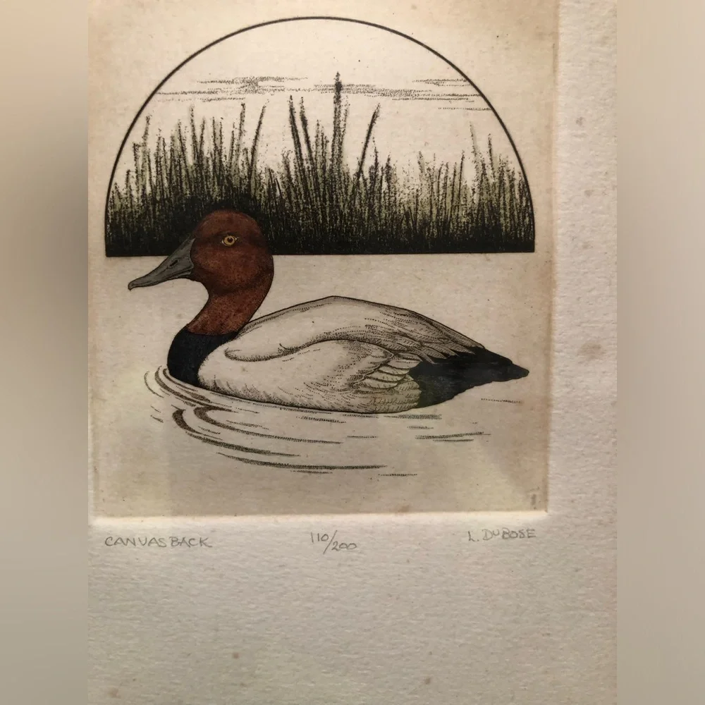 2258 Set Canvas Back /Shoveler Duck Prints by L. DuBose Signed & Numbered Framed